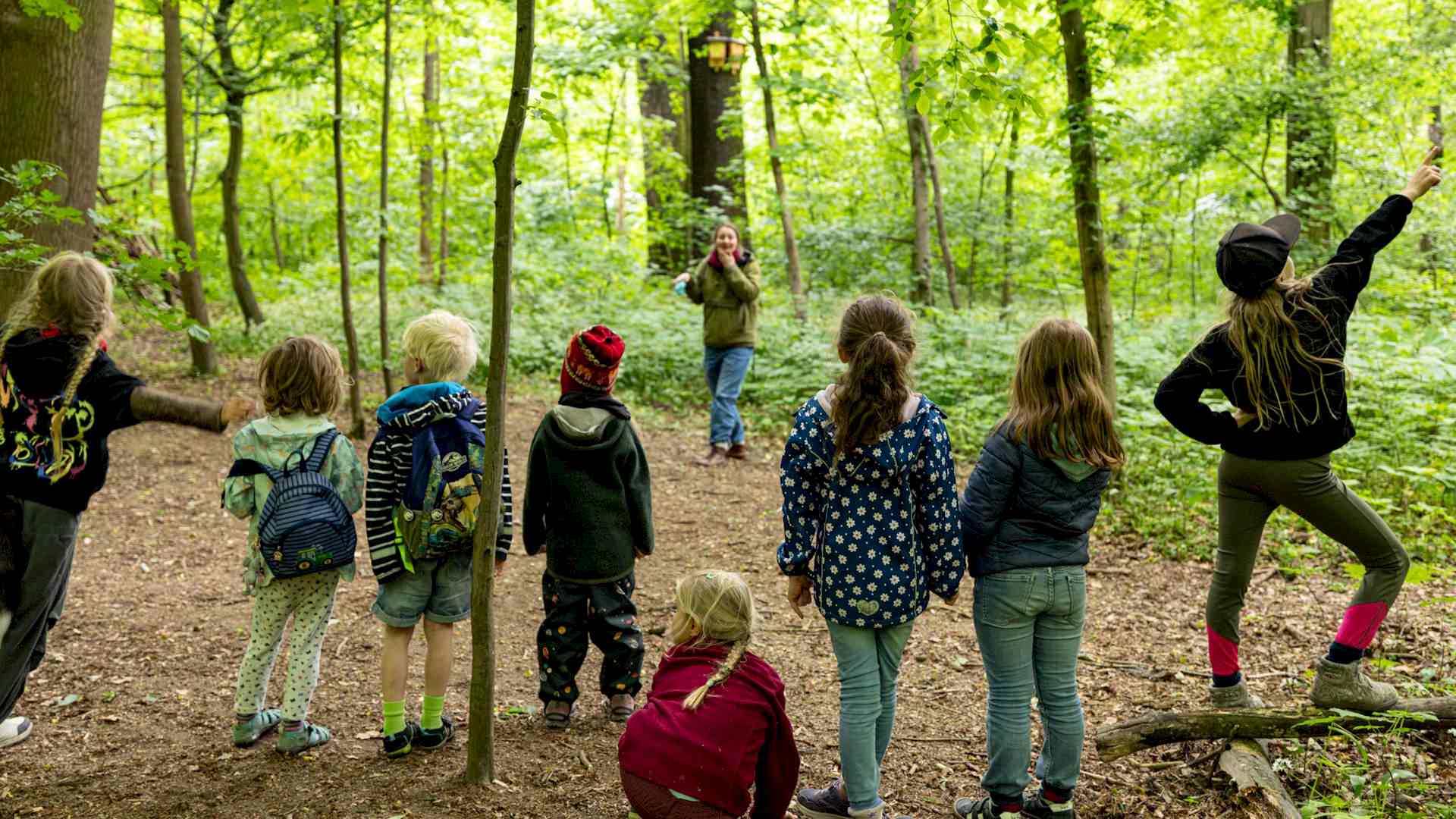 Über Vier Fährten Headerbild