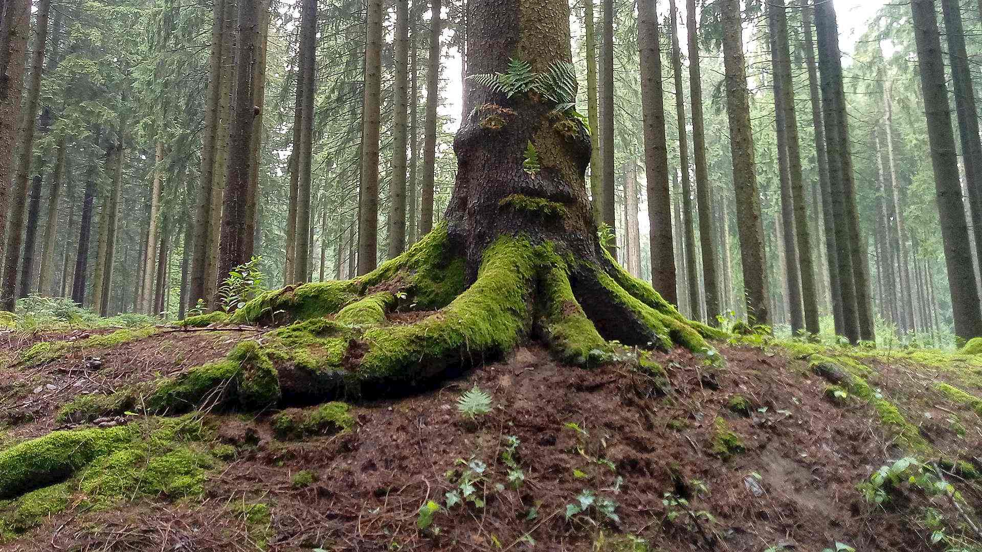 Allgemeine Geschäftsbedingungen Headerbild