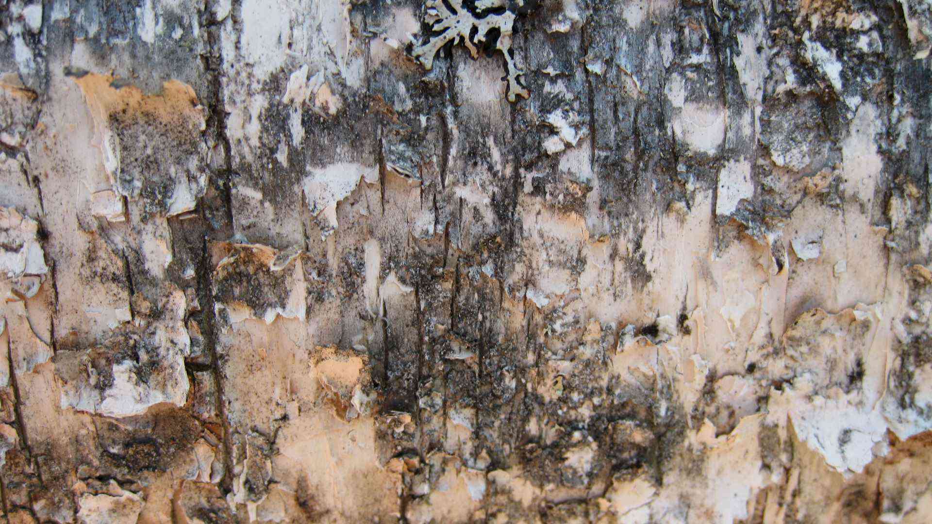 Gutscheine für Naturerlebnisse Headerbild
