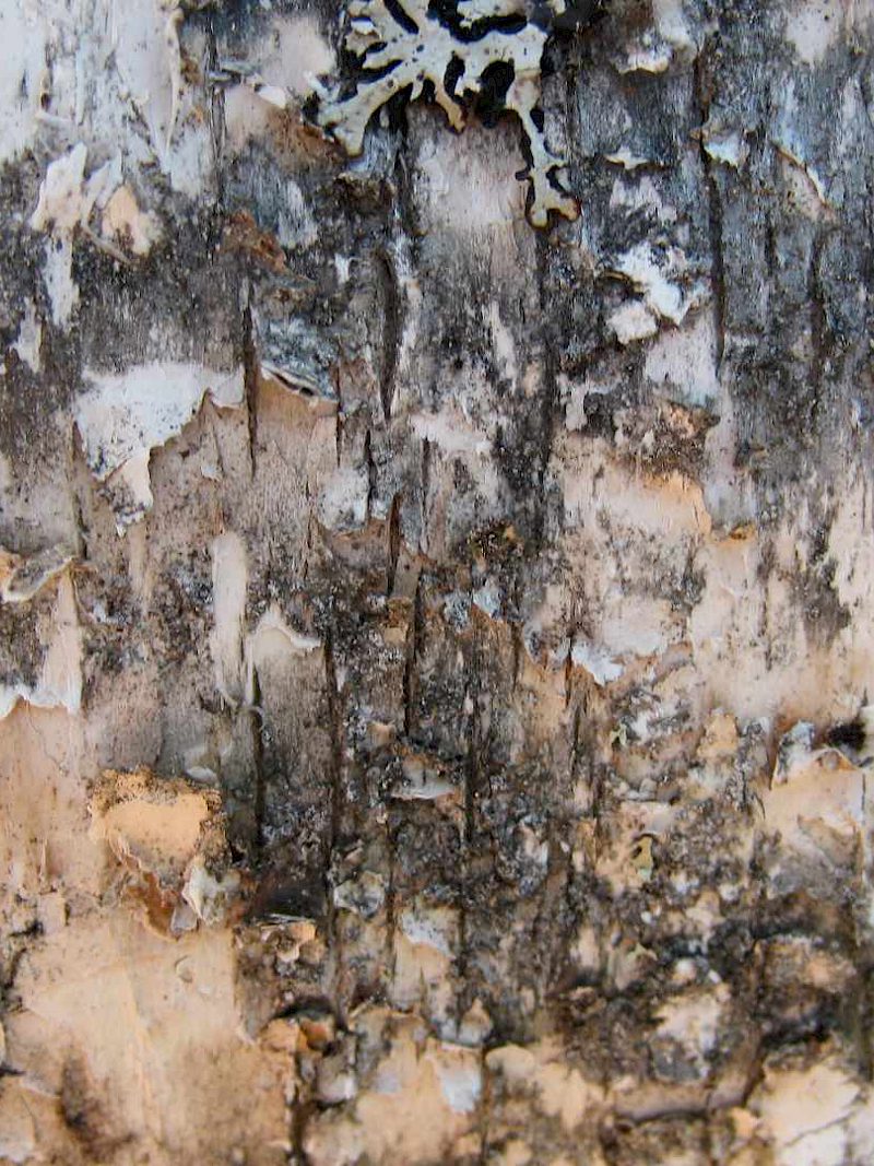 Gutscheine für Naturerlebnisse