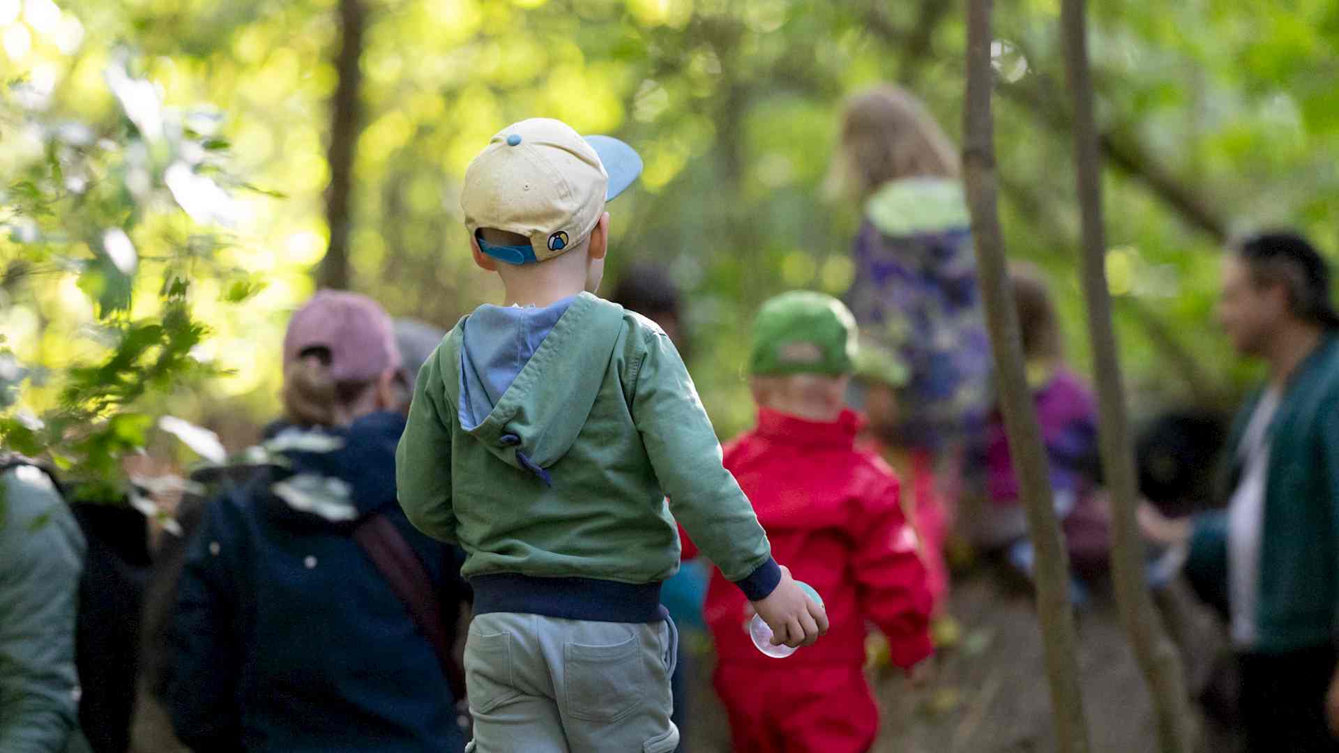 Wurzelkinder Headerbild