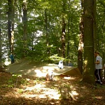 Tarp im Wald