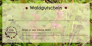 Gutschein Motiv "Taubnessel" – für Kräuterfreunde Gutschein Motiv Nessel
