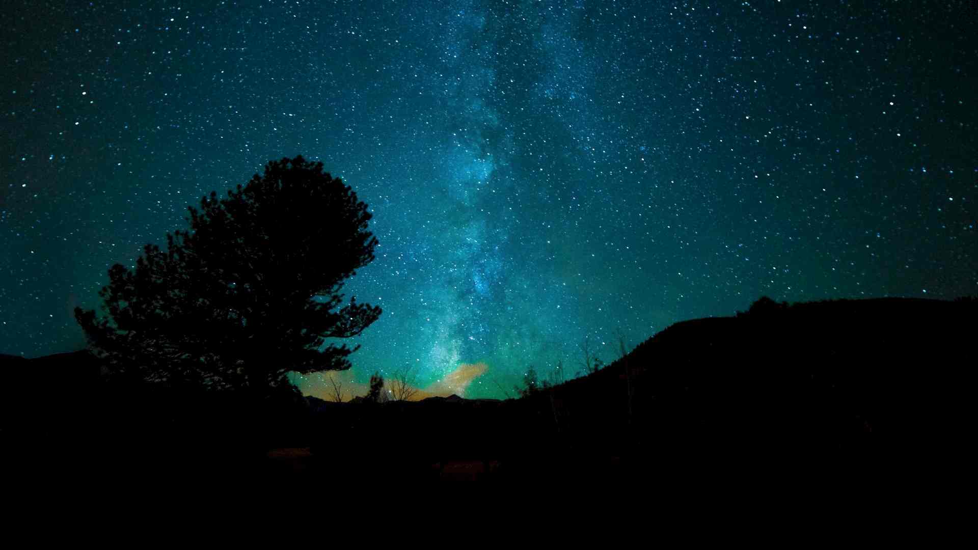 Solo-Waldabenteuer Header-Bild