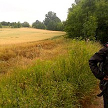 Reifes Feld