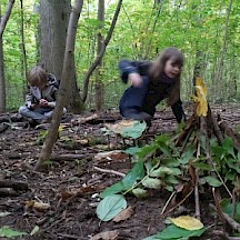 Waldspielplatz