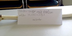 Ausgestellter Speer