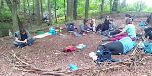Freizeit im Wald