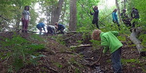 Spielen im Wald