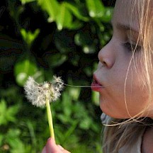 Kind mit Pusteblume