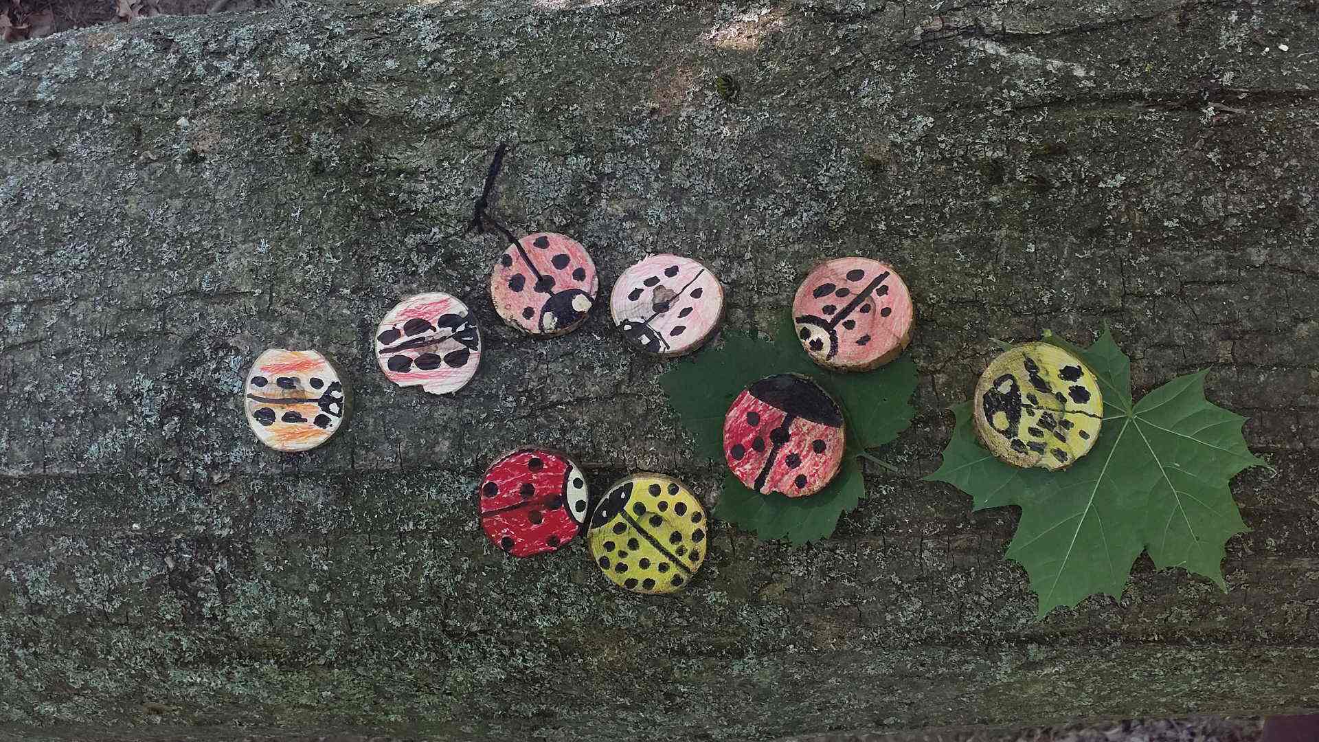 DIY Natur-Memory Headerbild