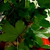Versteckt!