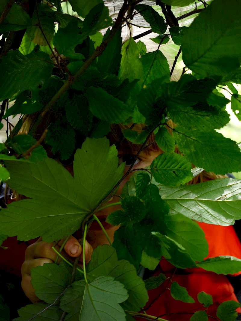 Versteckt!