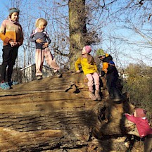 Kinder auf Baumstamm