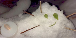 Schneegeist