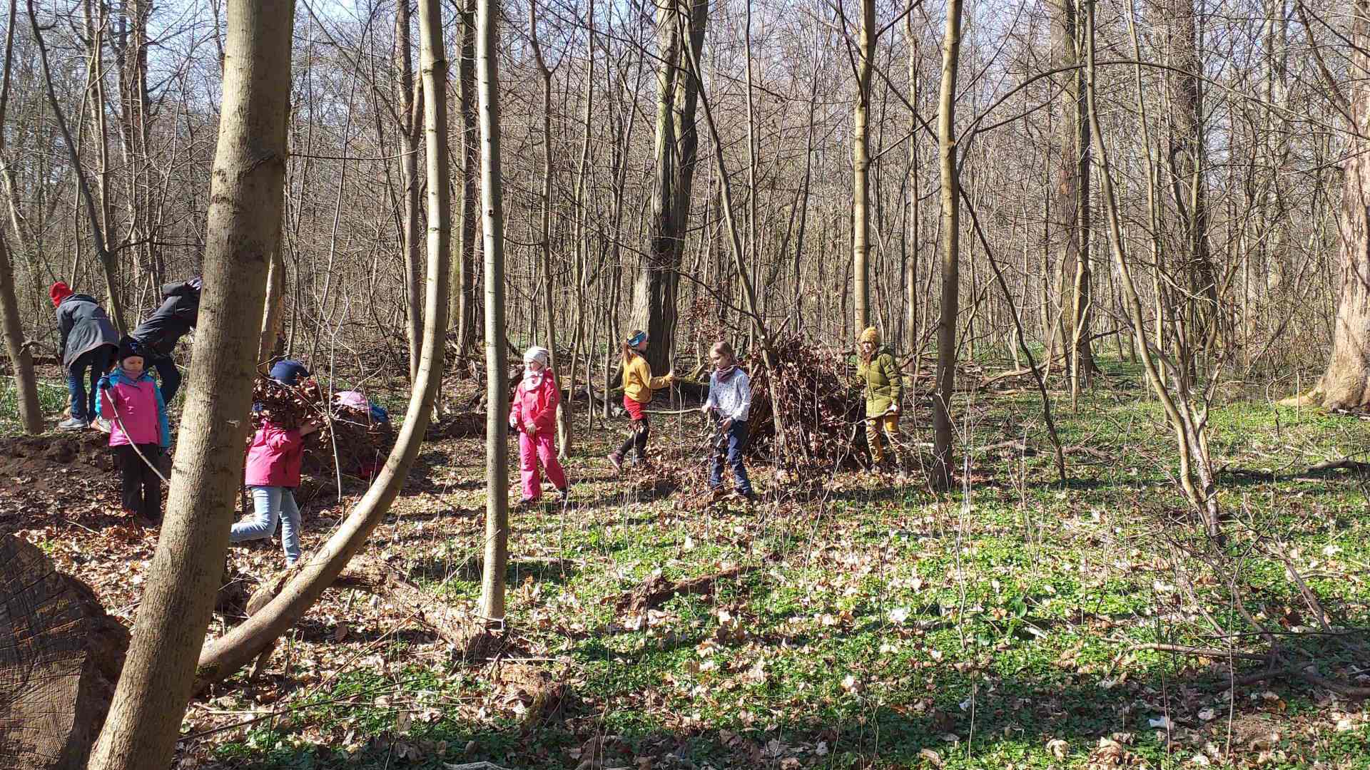 Ausgebüxt! Headerbild