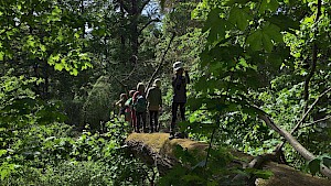 Bild zur Veranstaltung 'Kinder-Workshop Expedition zu den wilden Tieren'