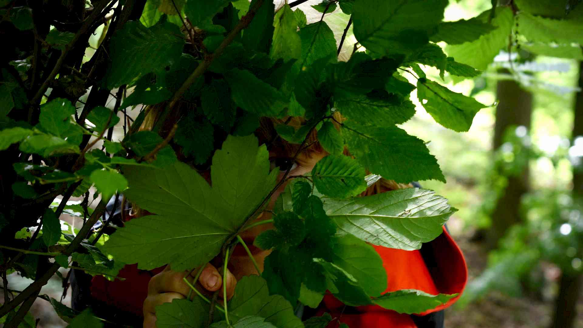 Feenstaub und Koboldspucke Headerbild