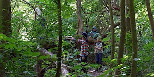 Kinder klettern im Wald