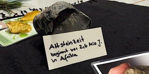 Schild Altsteinzeit