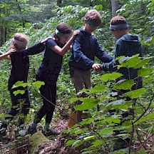 Als blinde Raupe nehmen wir den Wald mit den anderen Sinnen wahr. Kinder führen sich gegenseitig