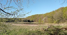 Ein kleiner idyllischer See liegt direkt am Waldrand. Landschaft See und Waldrand