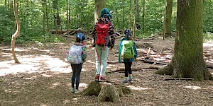Kinder auf Baumstamm