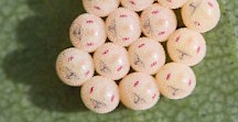 Die Eier der Streifenwanze sehen aus wie kleine Smileys. Streifenwanze Eier