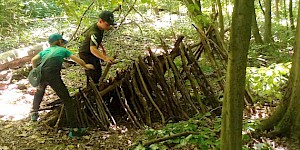 Gemeinsam bauen wir im Wald eine Laubhütte. Laubhütte