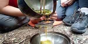 Für eine Heilsalbe machen wir einen Ölauszug aus verschiedenen Wildkräutern. Ölauszug