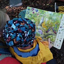 Wir lesen auch mal nach und vergleichen unsere Funde mit den Bildern im Buch. Kind schaut in Buch