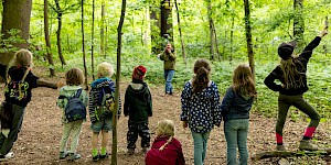 Wir spielen: Schaffen es dich Kinder, sich ungehört an Elisa Eichhörnchen anzuschleichen? Kinder spielen