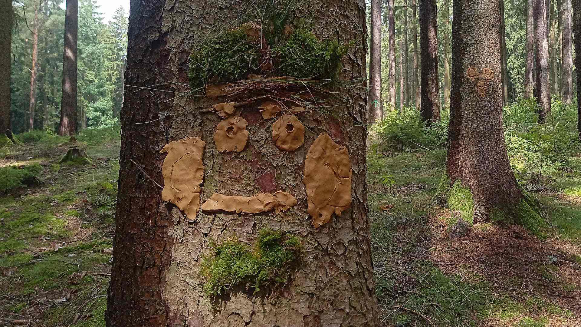 Bei den Waldgeistern Headerbild