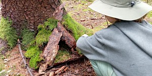 Warten auf Erstbezug.