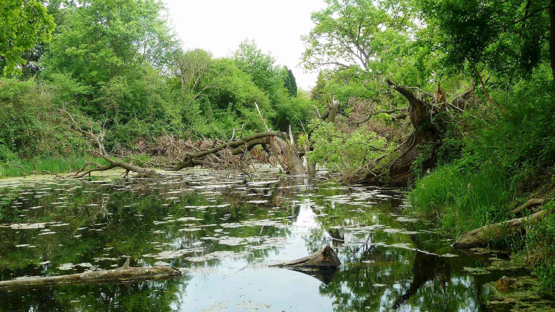 Jahr des Wassers Headerbild