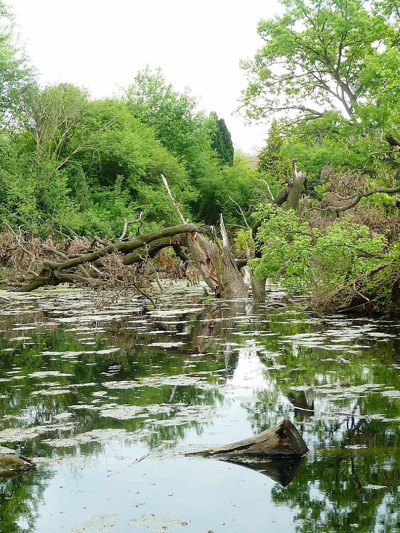 Jahr des Wassers