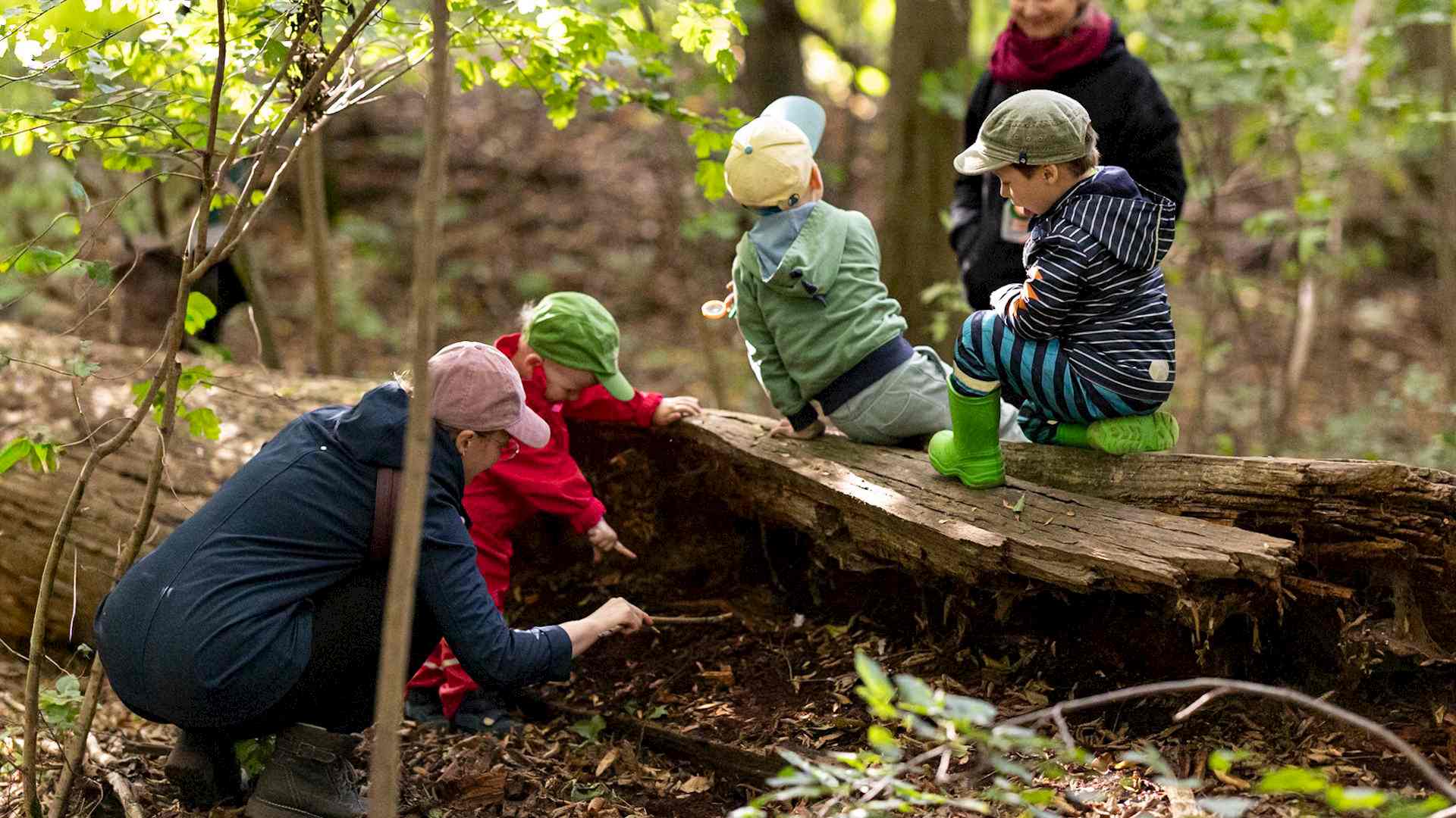 Jahr der Erde Headerbild