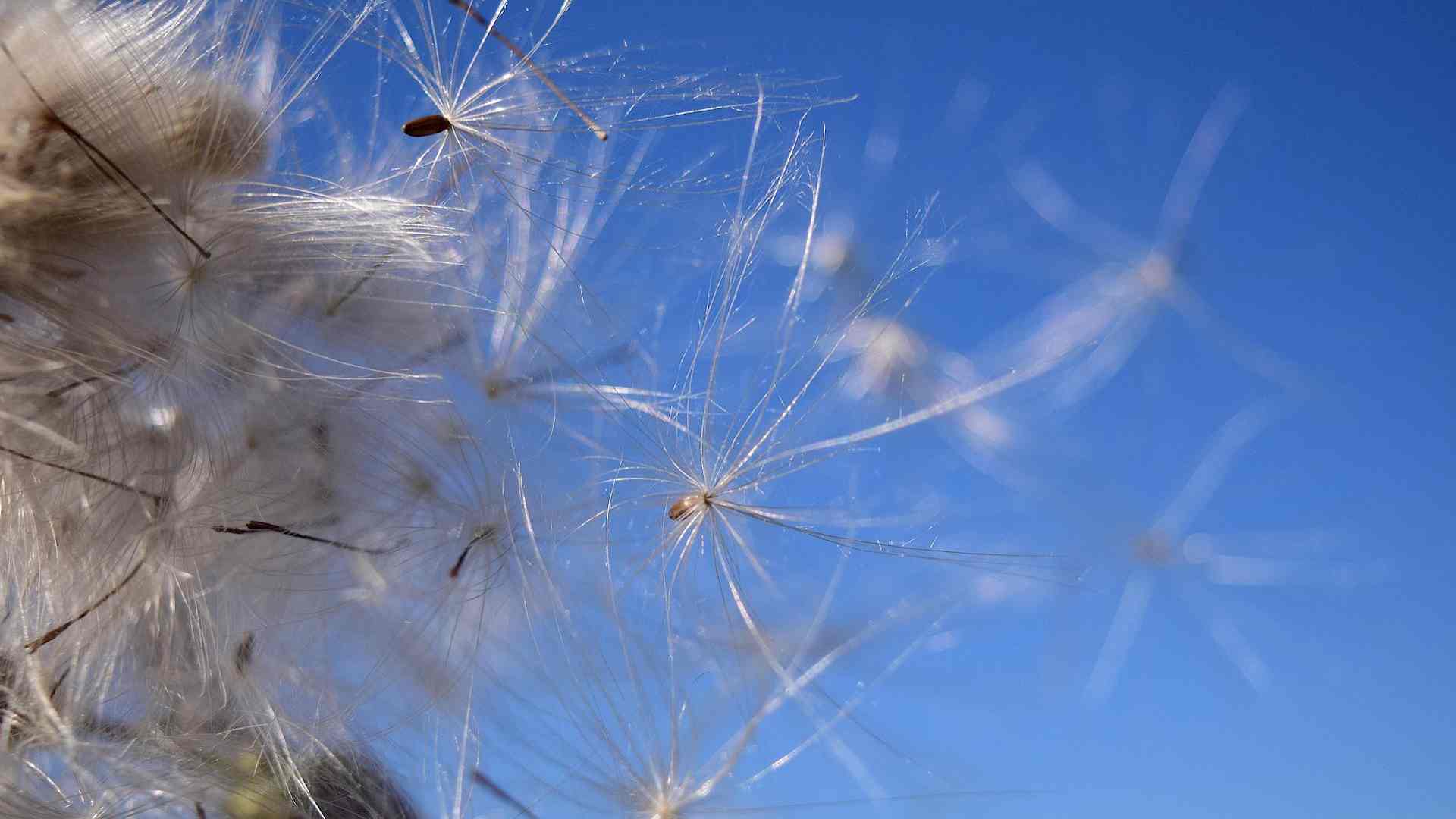 Jahr der Luft Headerbild