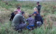 Eltern mit Kindern auf einer Wiese