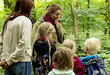 Elisa und die Baumkinder