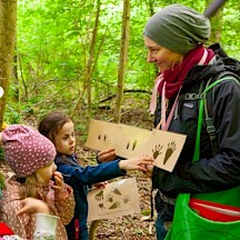 Kinder vergleichen Tierspuren