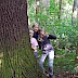 Drei Hexen hinter einer Eiche