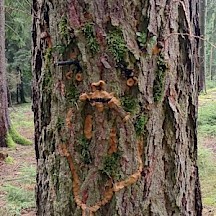 Baumgeist