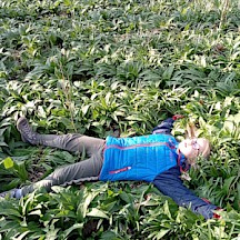 Kind liegt in Bärlauchfeld