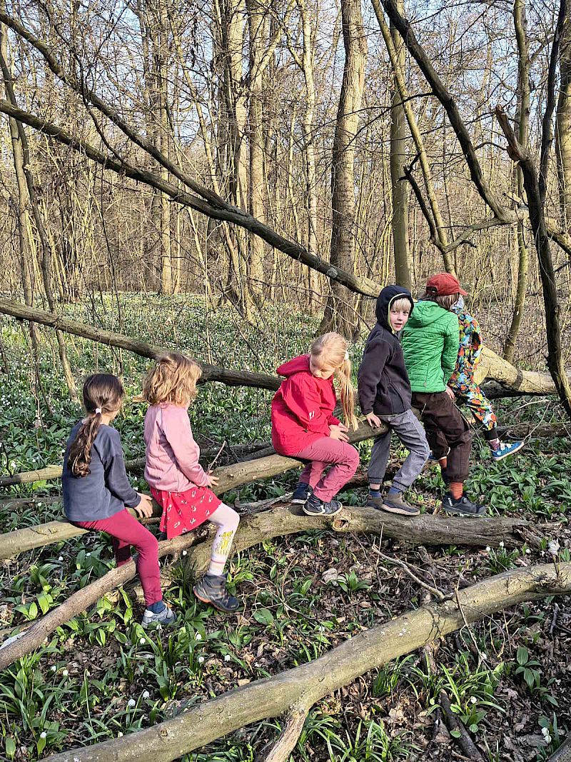 Waldgruppen für Kinder und Familien in Leipzig