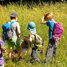 Kinder in Wiese
