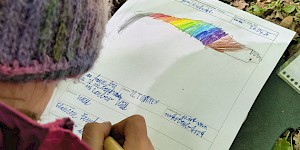 Zahnregenbogenschnecke