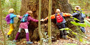 Kinder messen Baumumfang