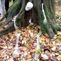 Halloween-Skelett an einem Baum