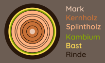 Ein systematischer Querschnitt durch einen Baumstamm. Querschnitt Baumstamm